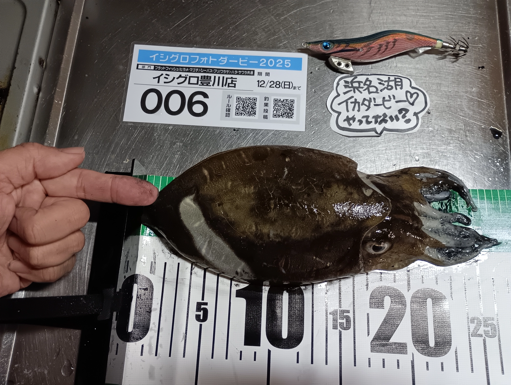 秋ならデカいかな♡