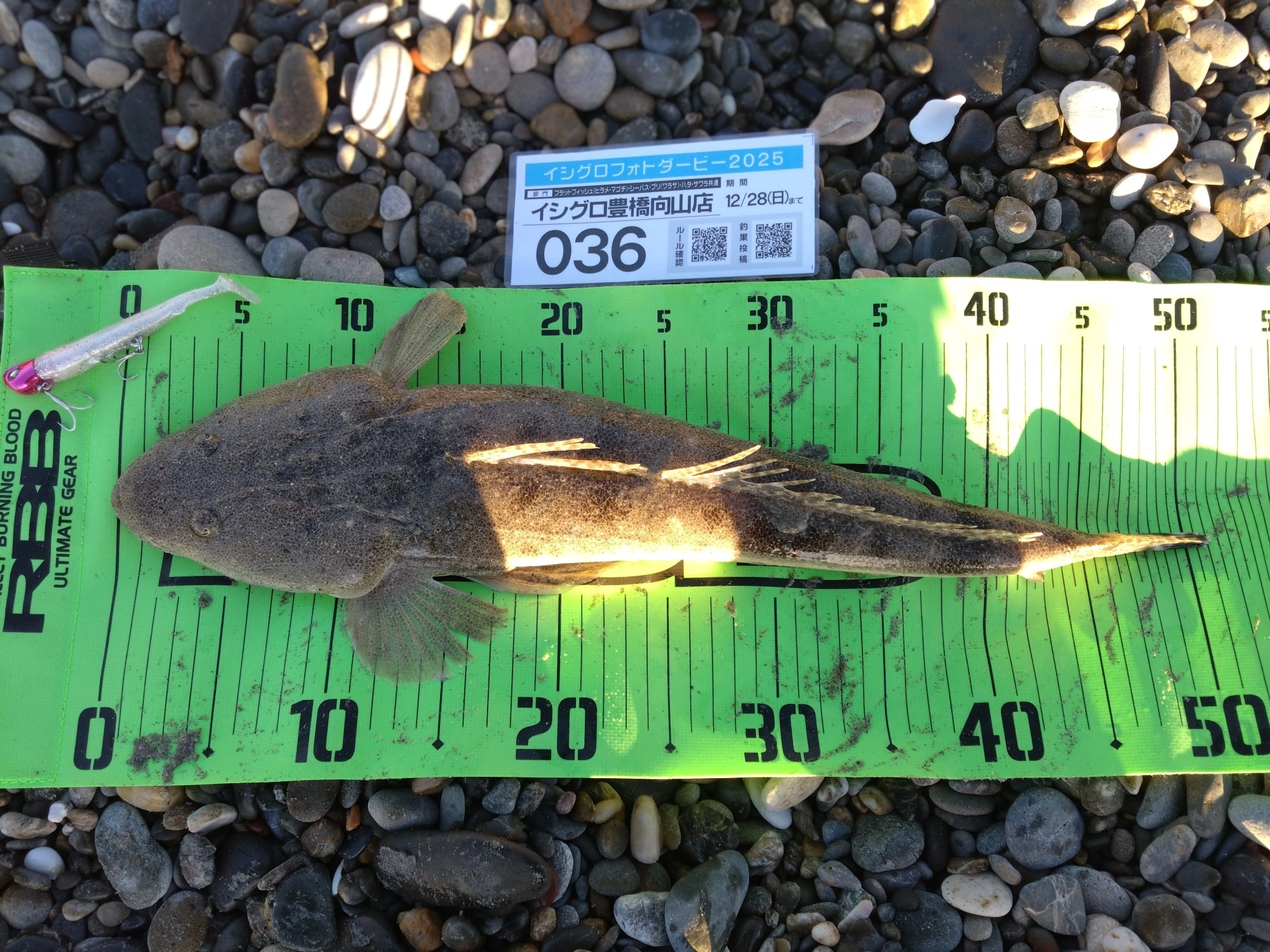 ワームでゆっくりまきでマゴチきました