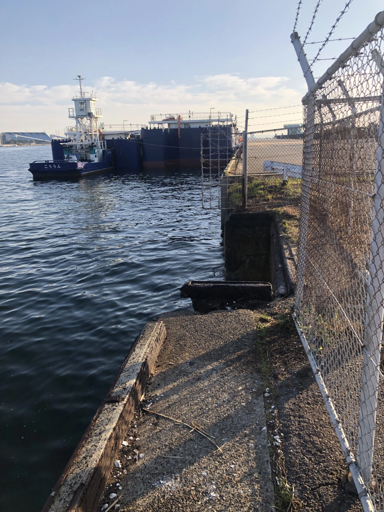 十一号地白灯台東側