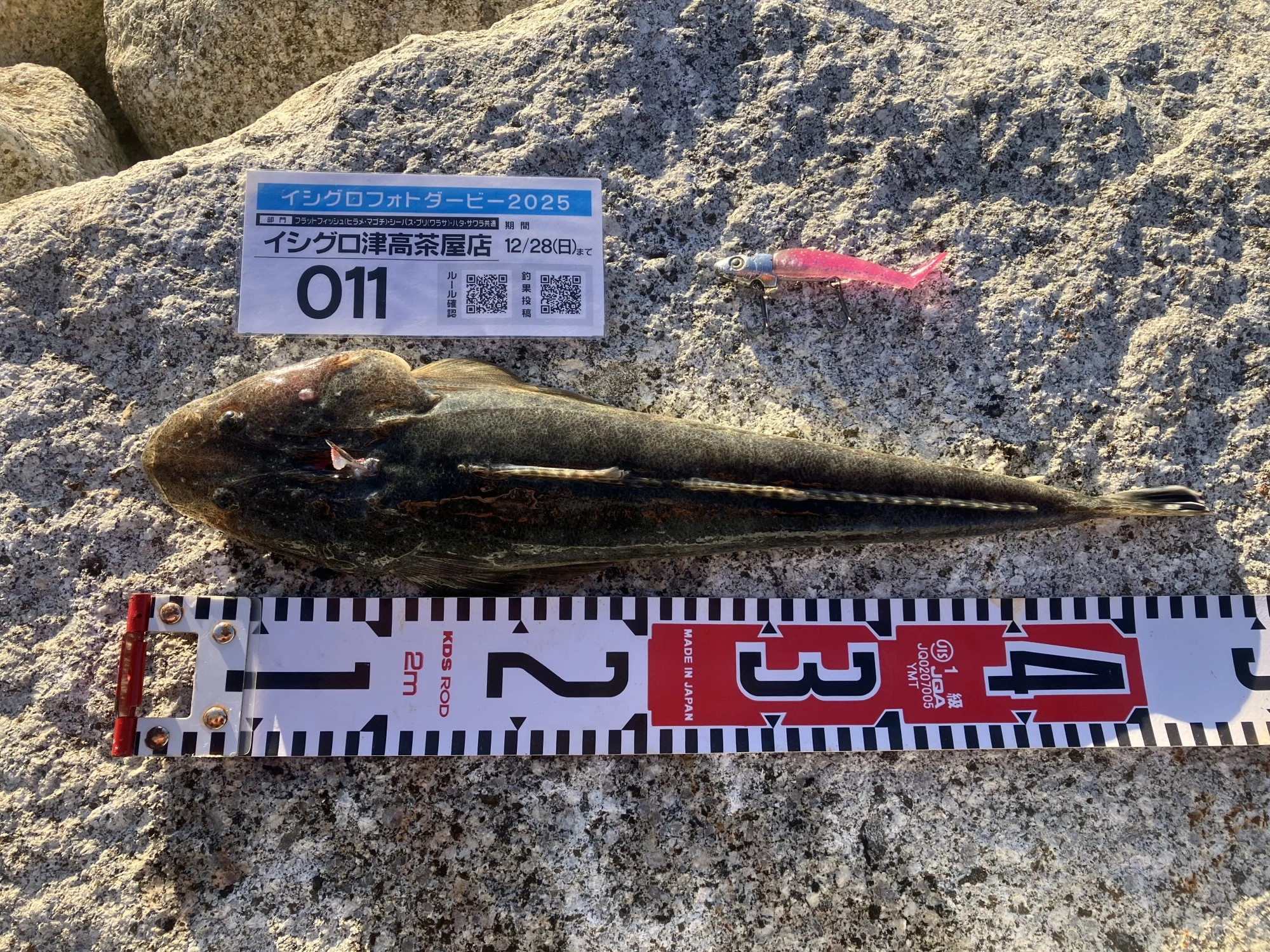 朝まずめ青物狙いでサーフに行くも不発。フラットに切り替えてポイント移動したらヒット！