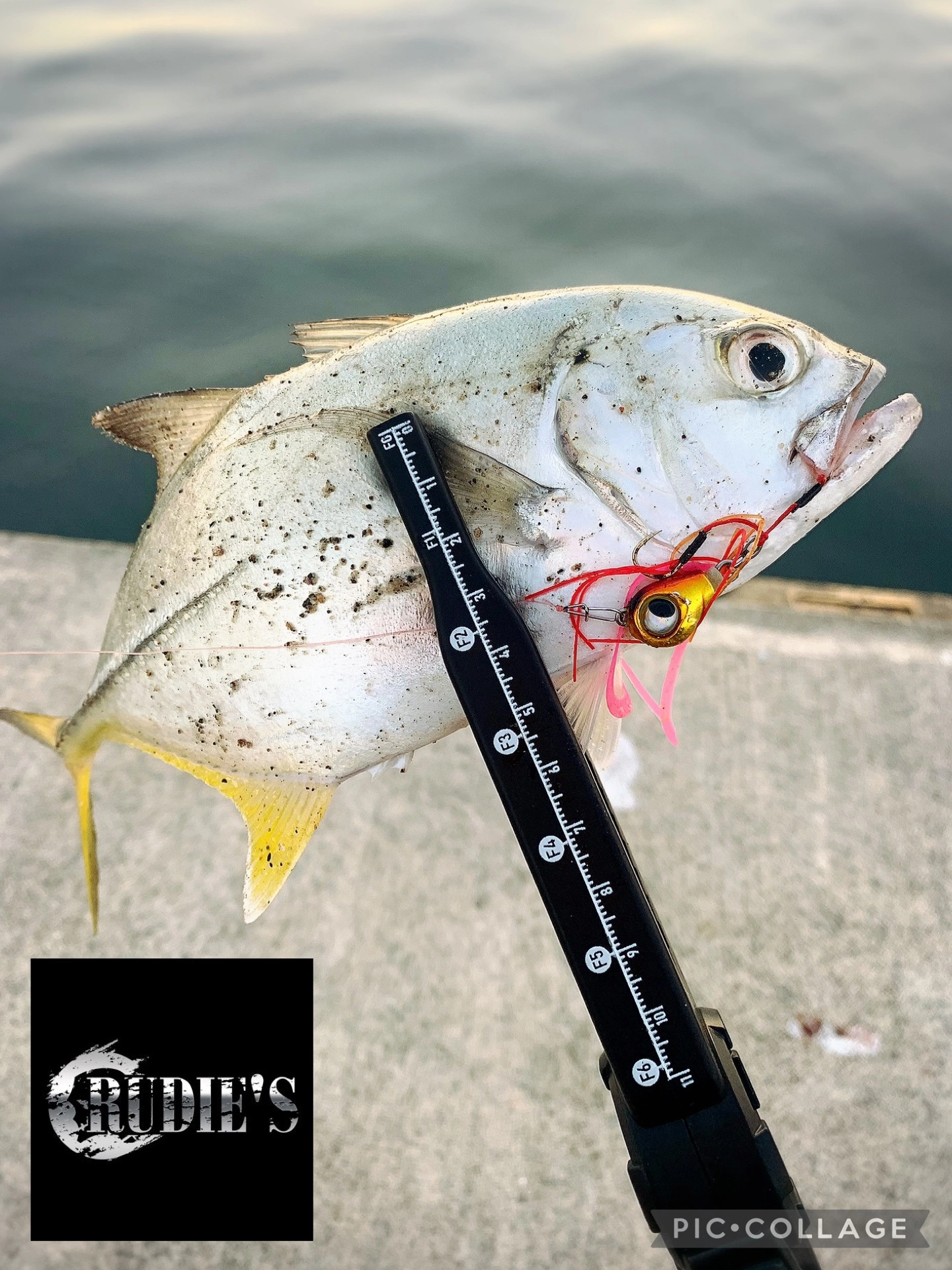 魚子ラバはボトムを取りやすく、そのまま、ボトムから表層まで、巻くだけで魚を誘います。