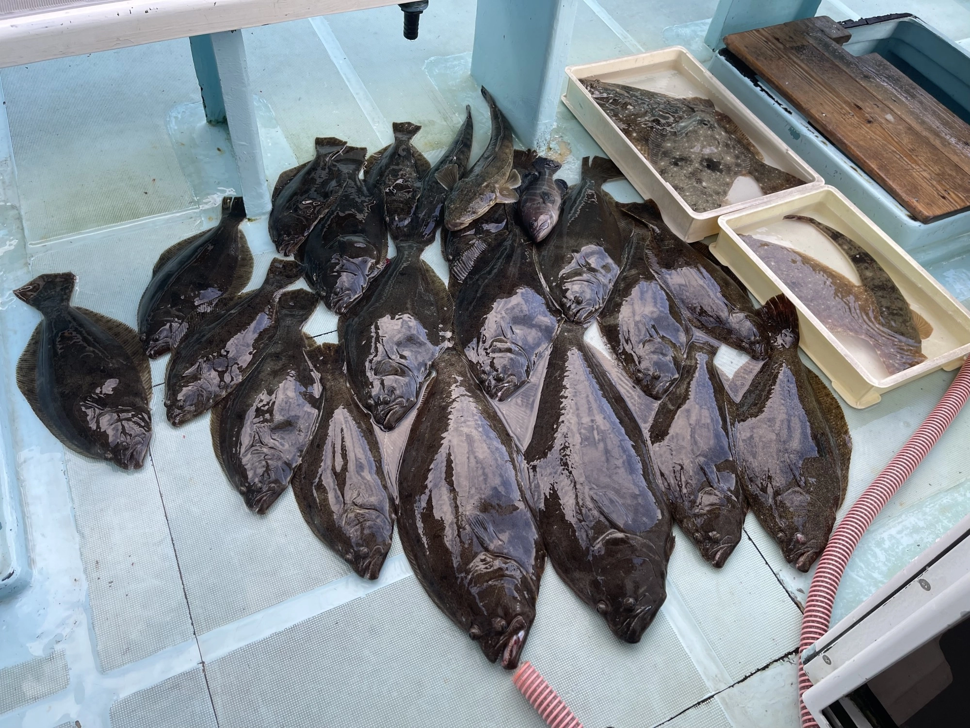 風吹きも皆様、ヒラメボウズ無しの全員安打達成でしたッ(・∀・)v