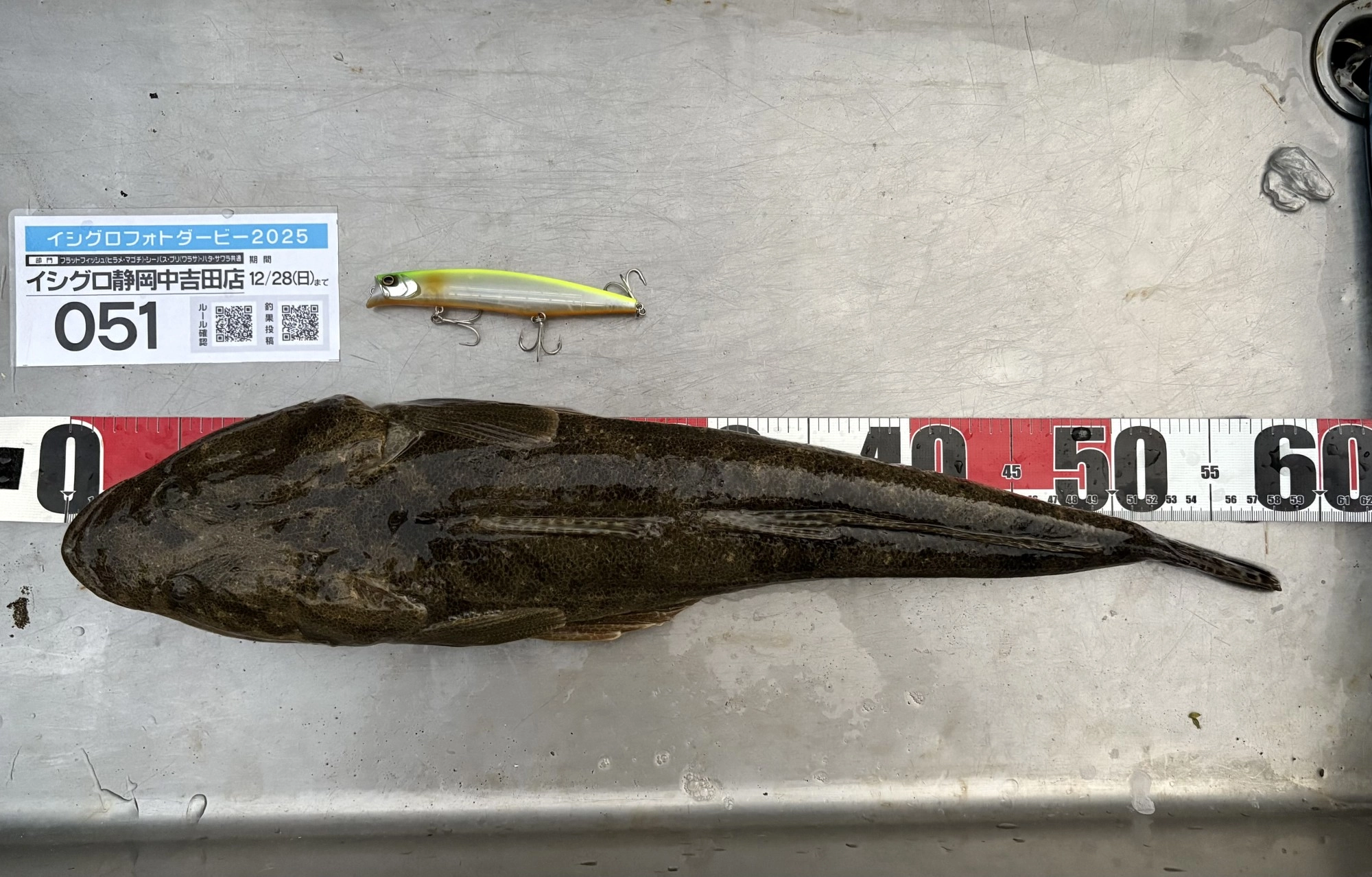 シーバス狙いがまさかのヒットでした。