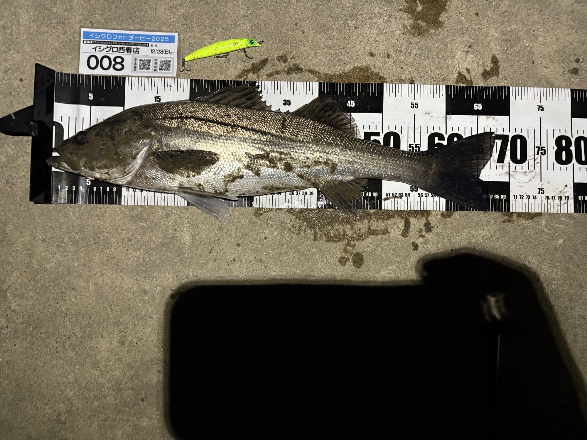 komomoの落ち鮎がダメならsasukeのマットチャート‼︎