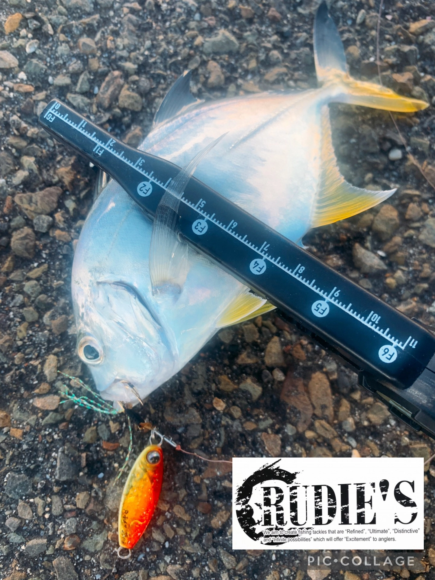 ツリノのフィッシュグリップが写真映えして、最高です‼︎魚も掴みやすいので、イチオシです。