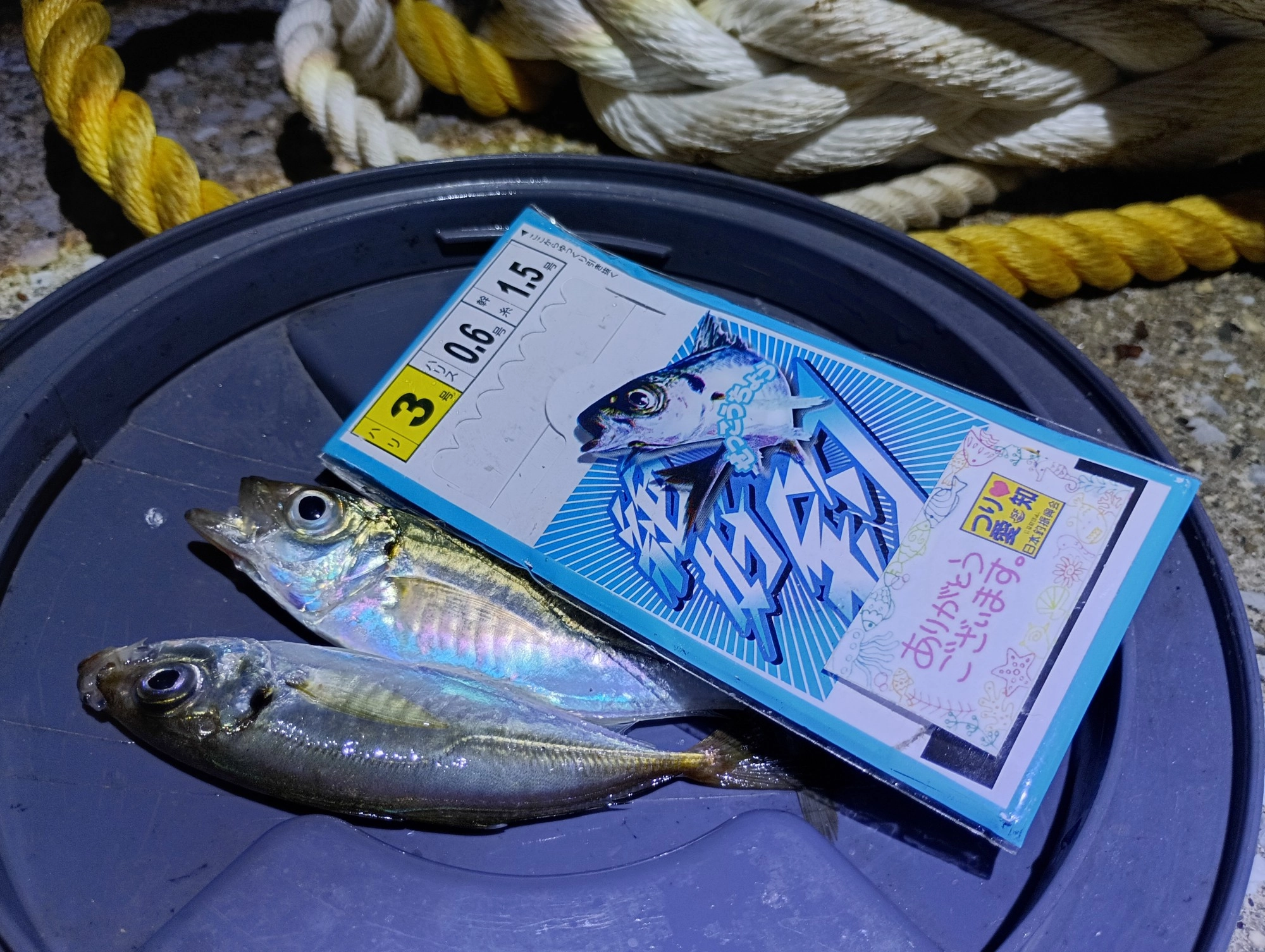 ３号サビキね♡