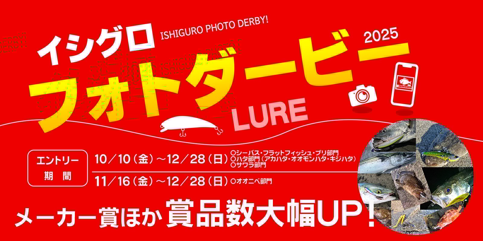 FALK spalo FA アラバマ 556173540 (002).jpg.webp?itok=