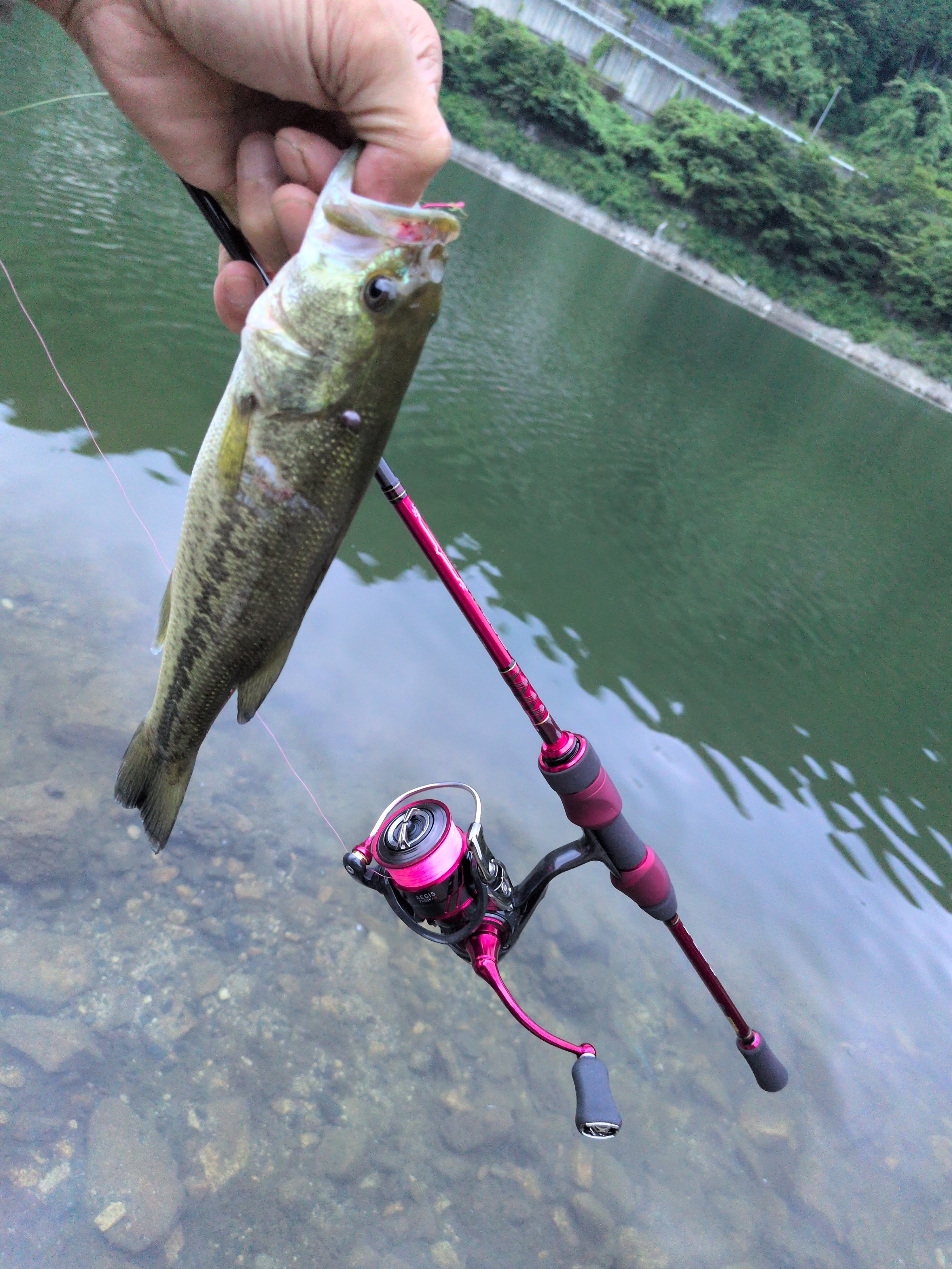 極上美品　未使用相当　ダイワ　ハートランド冴掛フェザータッチテクニカル　バス釣り 冴掛フェザータッチテクニカルファーストインプレ…圧巻の